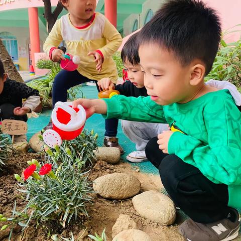 拥抱春天，我给植物浇浇水