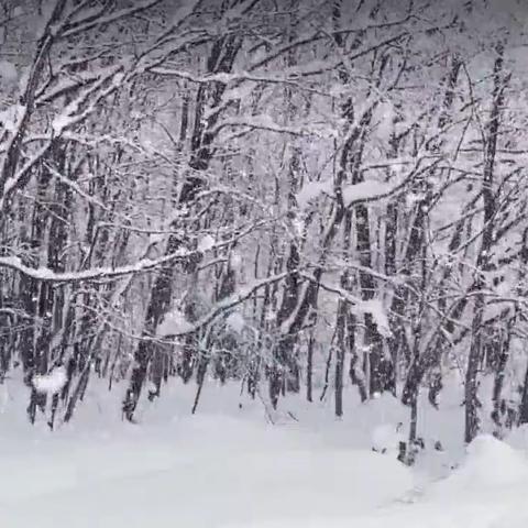 小实验《人工造雪》