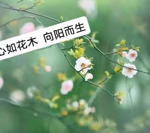 心如花木，向阳而生——刘建平教授《培育阳光心态 夯实健康之基 助力教师教书育人——心理健康与心理调适》