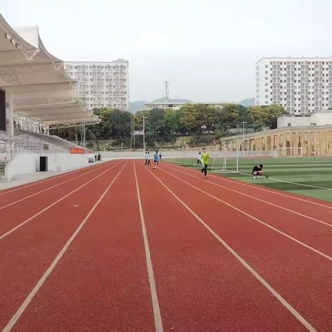 春风桃李心境佳，师生协力乐满园