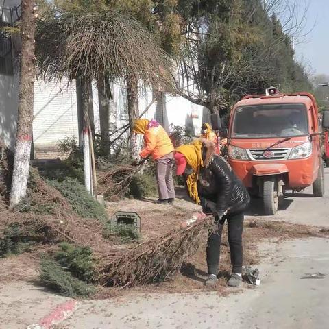 开展环境卫生整治,营造清洁生活环境