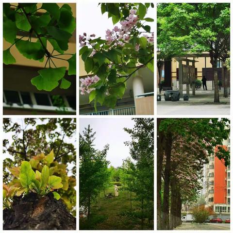 关爱学生幸福成长 师生同心拥抱未来