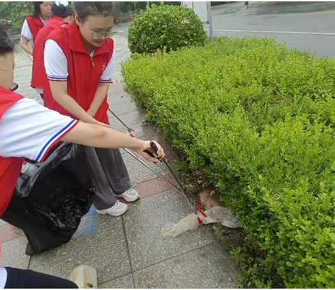 海花社区夏秋季爱国卫生运动总结