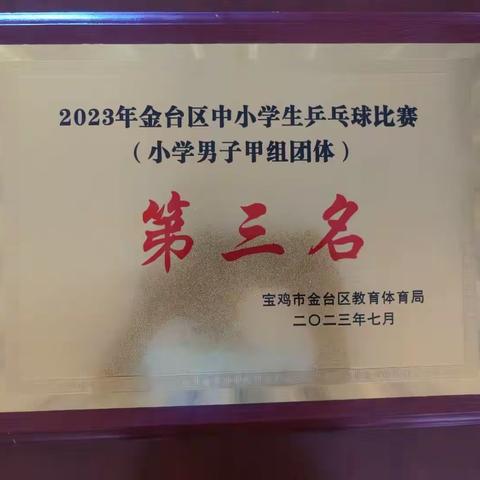 新福园小学在金台区小学生乒乓球比赛中喜获好成绩