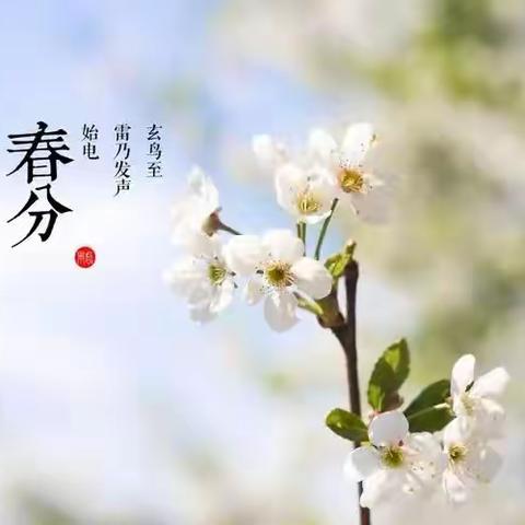 "相约春分好时光"明祖陵镇中心幼儿园中一班节气活动——春分