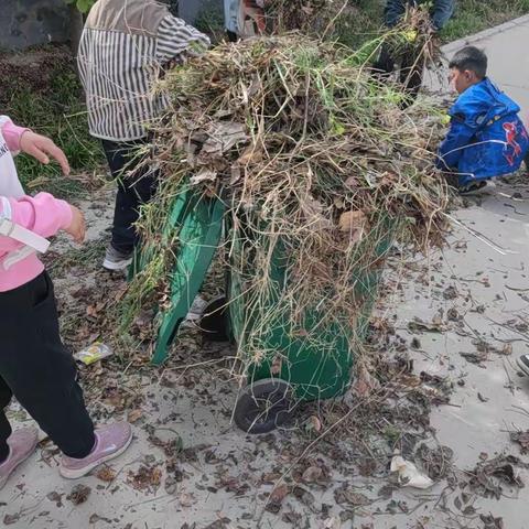 三新小学每周爱国卫生活动纪实