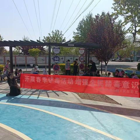 禁种铲毒正当时  ‖  罂粟花虽美，种植一株也违法