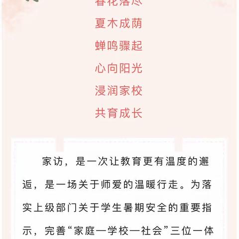 快乐暑假，安全不“放假”——寨河完小开展暑期安全大走访活动