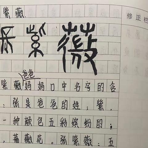 寻名字甲骨文写法，查名字寓意（语文创意周末作业）