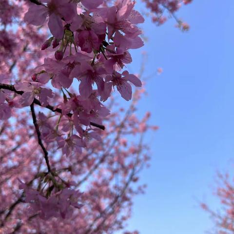 🌞｜Spring.三月心动日记