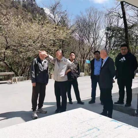 朱雀公园安全生产工作动态