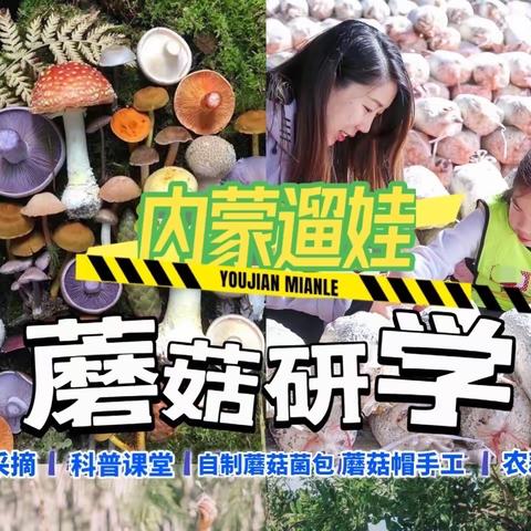 跨学科综合性趣味自然课堂自然研学——【“菇”勇者】走进蘑菇🍄王国