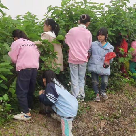 横州市石塘镇逢村村委小学活动