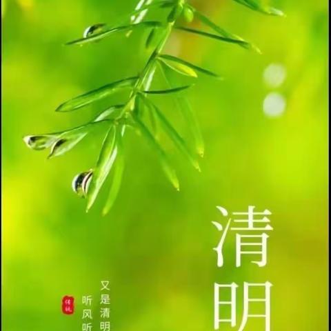 清明时节话清明——石佛中心学校大坪小学清明系列活动纪实