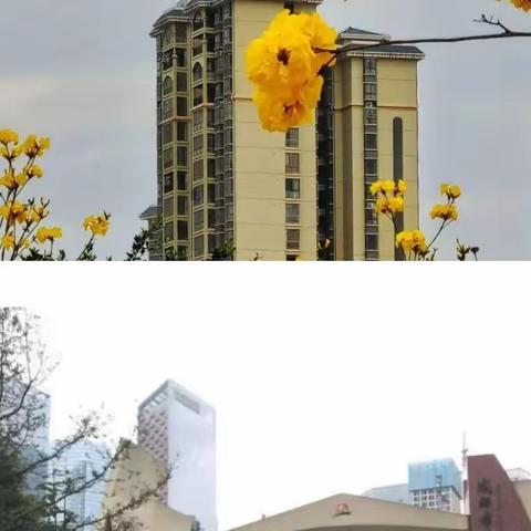 与美好相遇——成都盐道街小学学习第一天