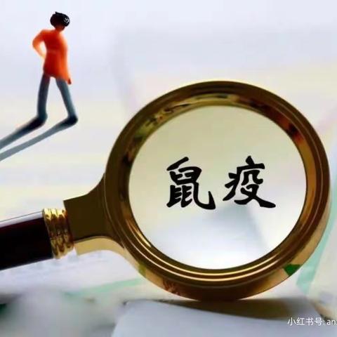 【托克托县青少年宫】鼠疫防治知识宣传