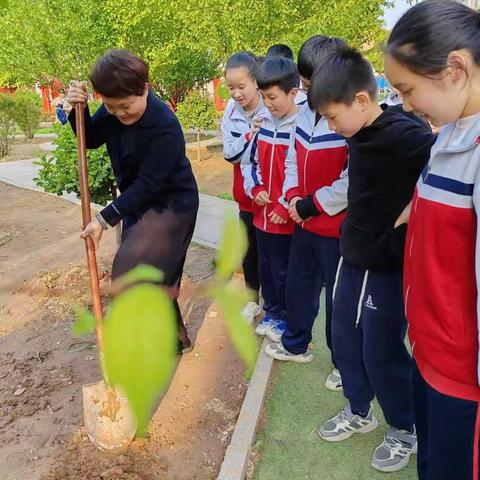 以“劳”树德，以“劳”育美——向阳小学五年级党小组4月份主题活动