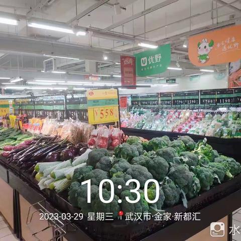 金家店3月29日第二次开业美篇