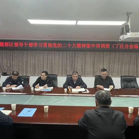 丁庄街道党工委召开学习贯彻党的二十大精神研讨交流会