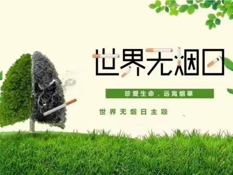 远离香烟，健康常伴！——董店小学开展第36个世界无烟日宣传活动