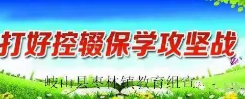 东河南大庄小学控辍保学知识宣传