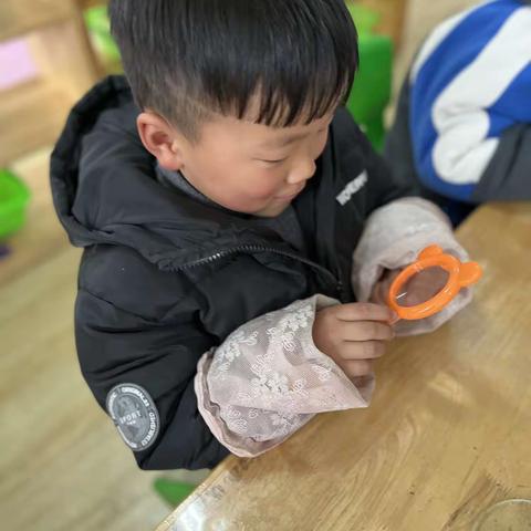 寻找树的皮味，探秘树纹之旅——中二班生成课