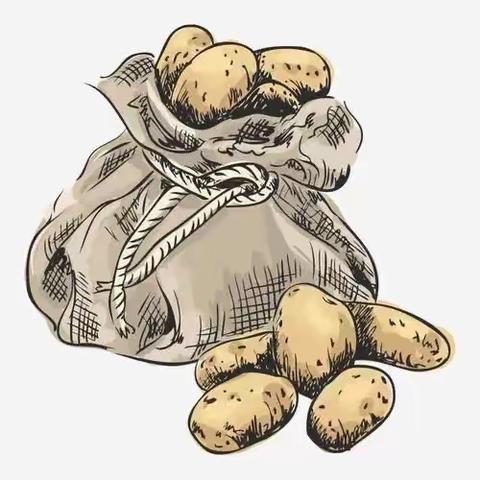 《嗨！土豆》