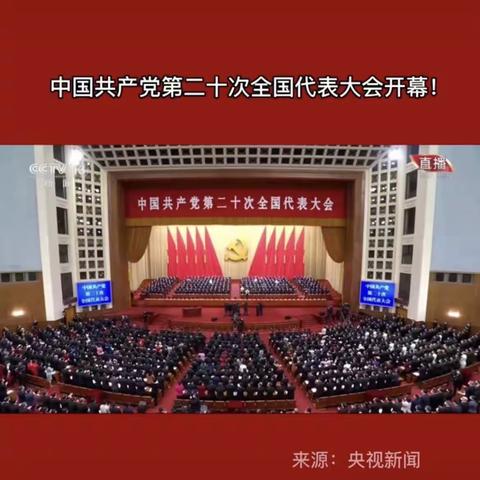 法律部精心组织  认真学习贯彻二十大精神