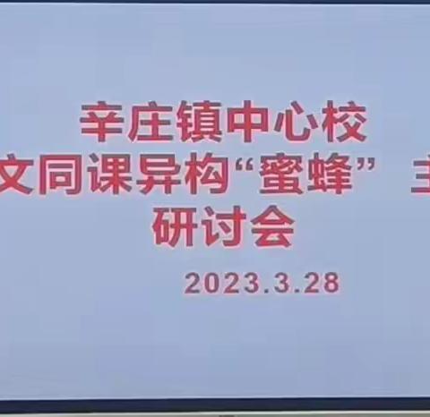 同课”绽放精彩 “异构”彰显新意——辛庄镇中心校开展中学段语文“同课异构”教研活动