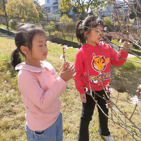 《邂逅春天》——果二班春季主题活动