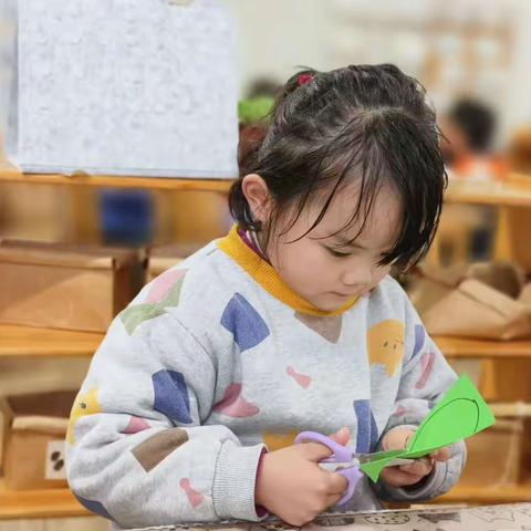 振阳幼儿园