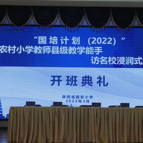 国培计划（2022）农村小学教师县级教学能手访名校浸润式培训心得体会