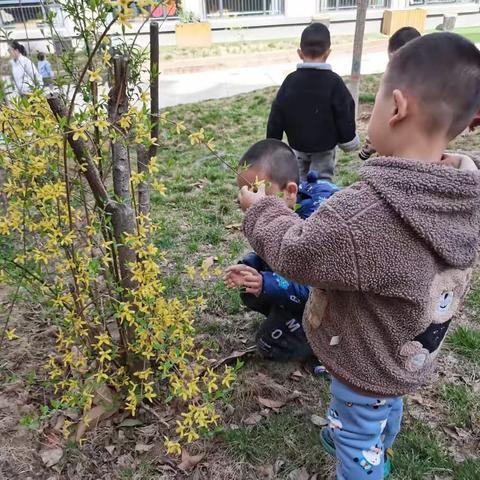 【青禾幼儿园小二班】从♥️开始    共同成长