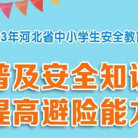 仇庄镇东储小学2023年全国中小学生安全教育日活动纪实