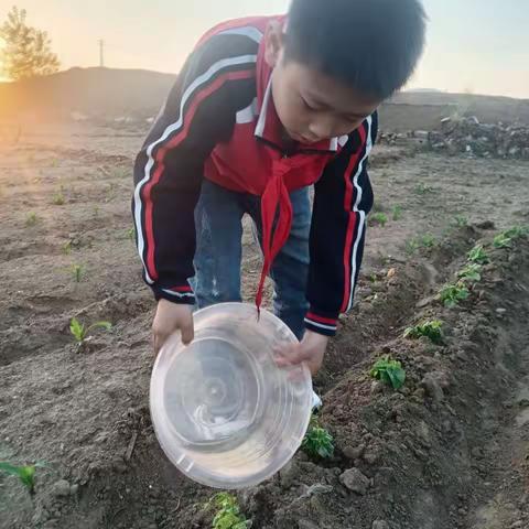 【城西小学 三四中队】我劳动  我快乐