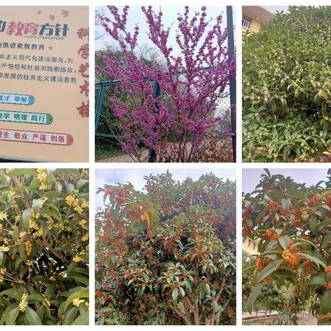 在双减政策下江埠初中数学组教研活动----范莹莹老师的公开教学。