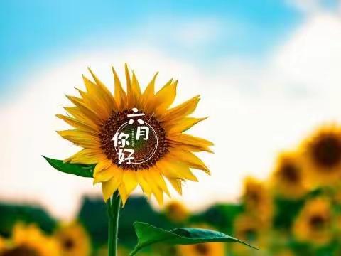 盛世江山物业2023年6月份工作美篇