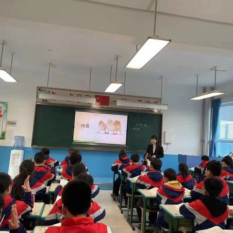 展教学风采，树教学典范——蓝海学校高段语文教师赛课活动