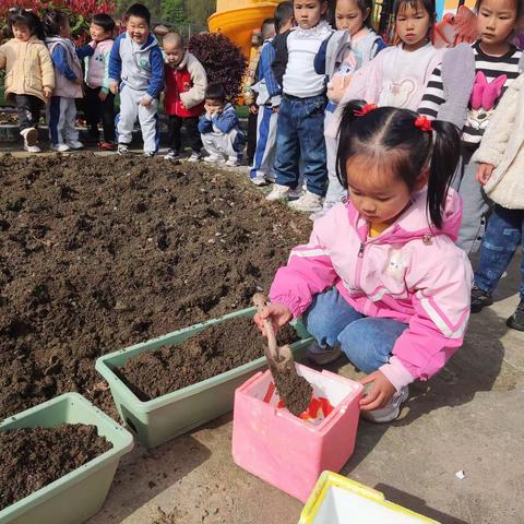 快乐种植，收获春天——大竹园镇中心社区幼儿园中班种植活动