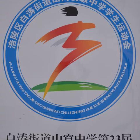 激情点燃梦想  拼搏成就未来——白涛街道山窝中学第23届学生春季运动会剪影