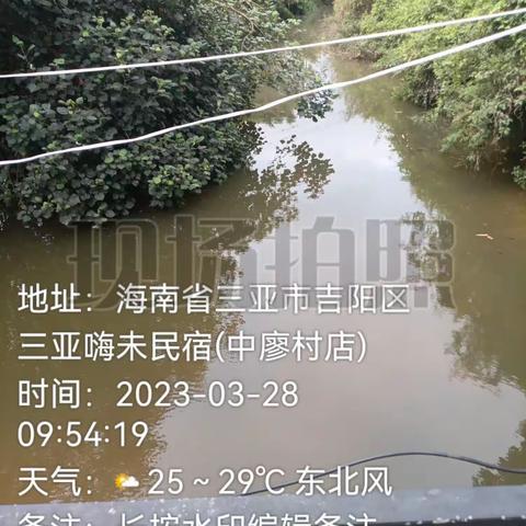 2023年3月28日、巡查河道记录、大茅水交汇处新田河段