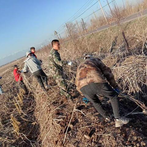 “珍爱生活空间，热心创卫工作”愉群翁回族乡下皇宫村清扫活动