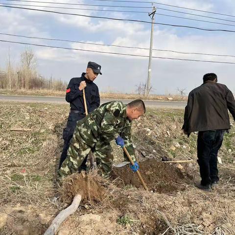 “多一片绿叶，多一份温馨”愉群翁回族乡下皇宫村栽树活动