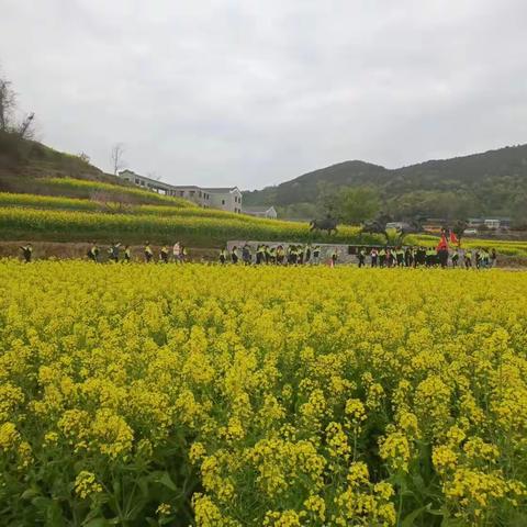 里店小学孟家冲村张体学红色之旅