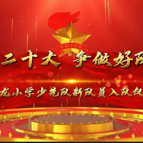 回龙小学“学习二十大 争做好队员”第五届校园文化艺术节系列活动——新队员入队仪式