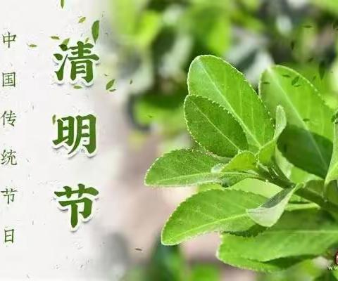 清明时节话清明——化马湾乡双泉幼儿园清明节放假通知及温馨提示