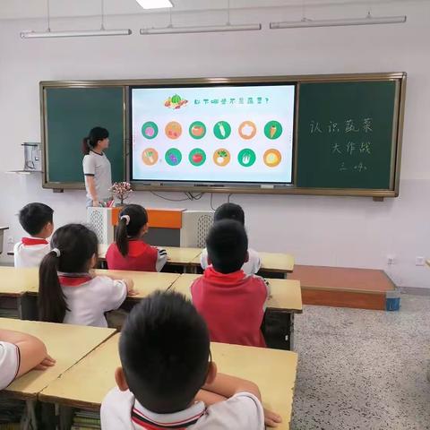 小菜园里大收获——黄集实验小学三年级开展劳动教育主题活动