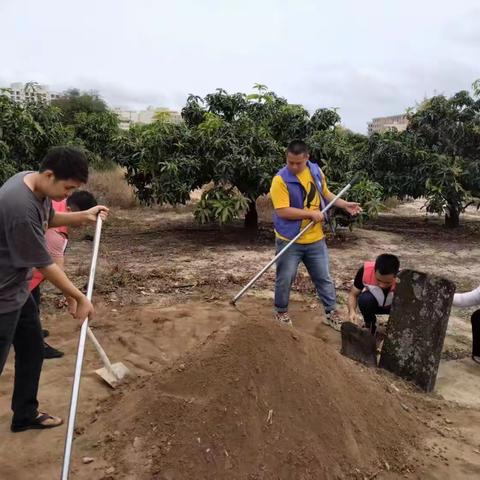 椰林镇退役军人服务站举行烈士墓“代为祭扫”活动