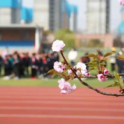 繁花盛开，少年正当时。 ——记四年级第一次主持升旗仪式