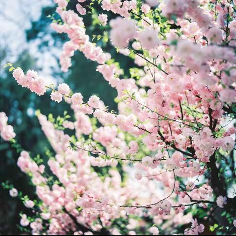 花样“综合”，精彩“实践”—赣州市综合实践活动课课例比赛暨培训活动纪实